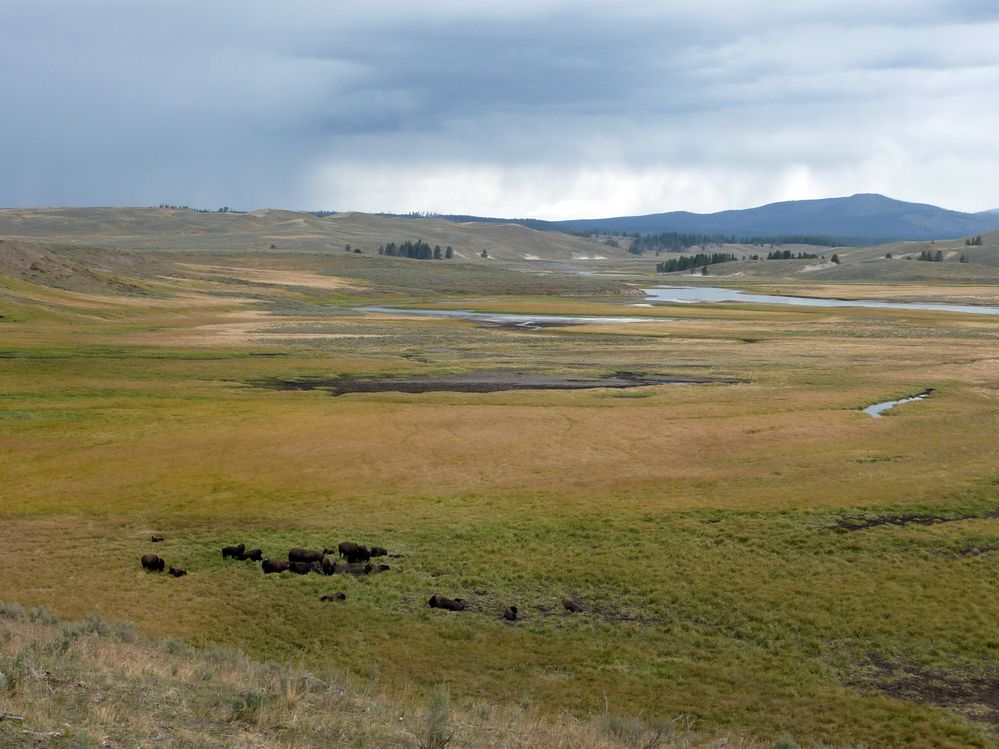 Yellowstone (39).JPG